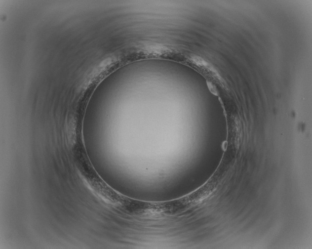 X0000064040496200601301152