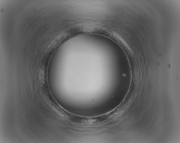 X0000064040497200601301152