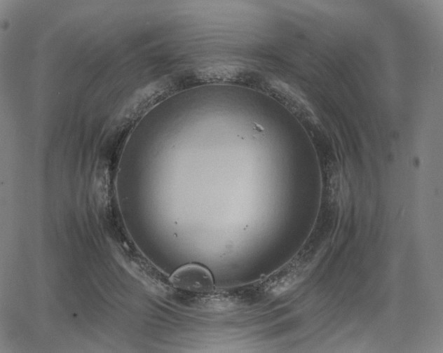 X0000064040498200601301152