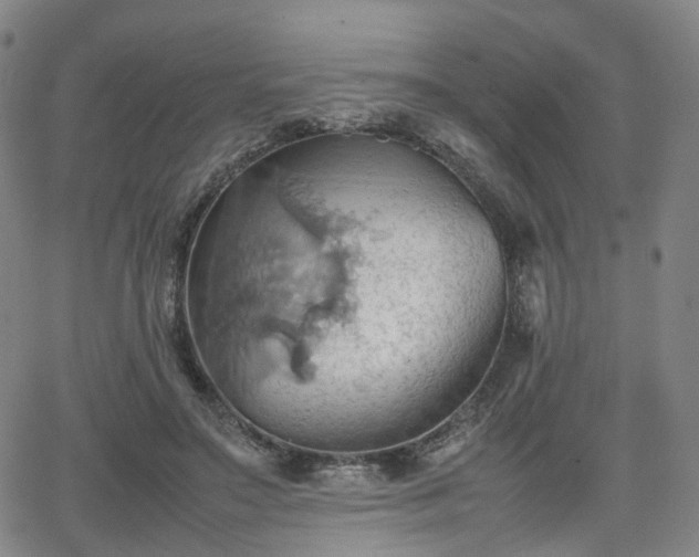 X0000064040499200601301152