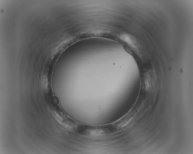 X0000064040500200601301152