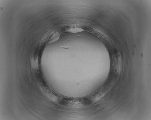 X0000064040502200601301152