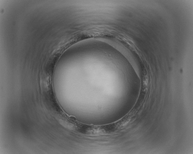 X0000064040503200601301152