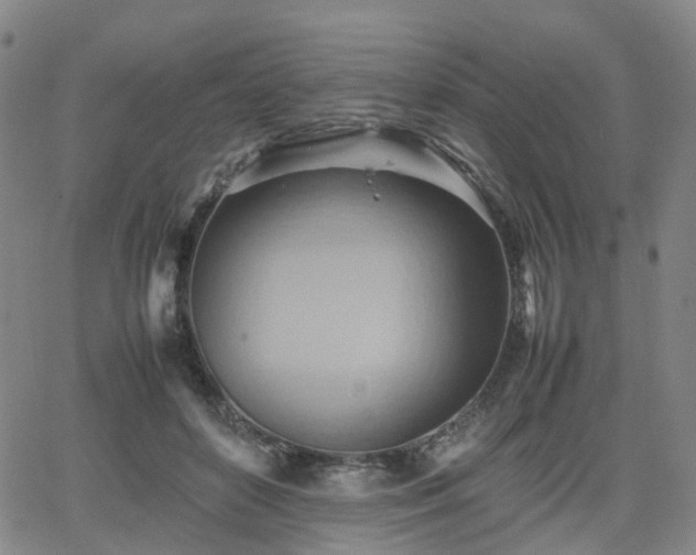 X0000064040504200601301152