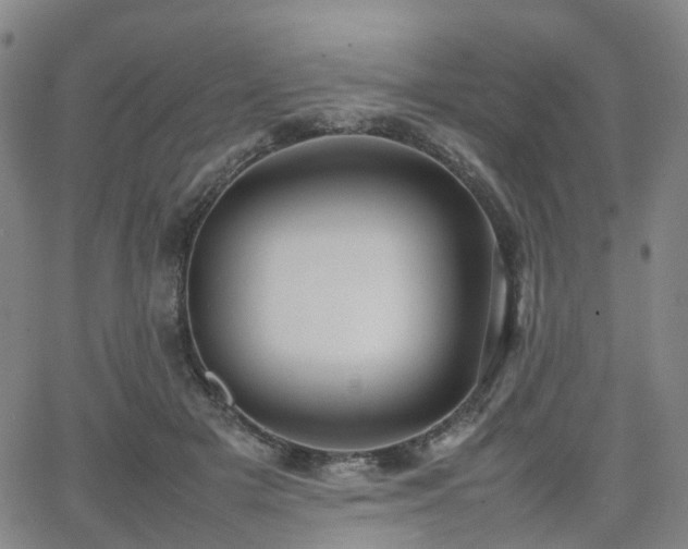 X0000064040505200601301152