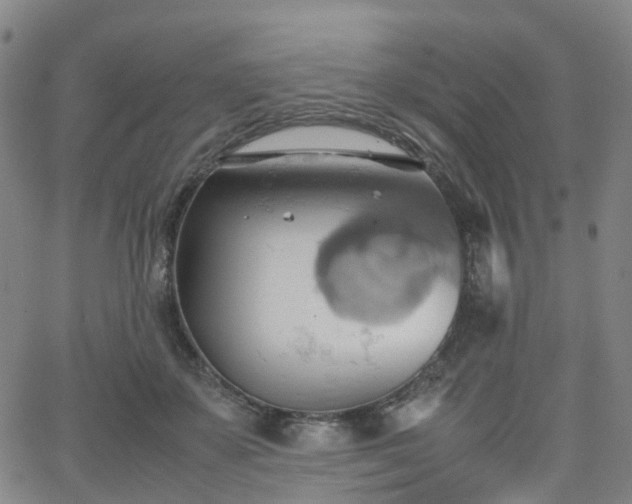 X0000064040507200601301152