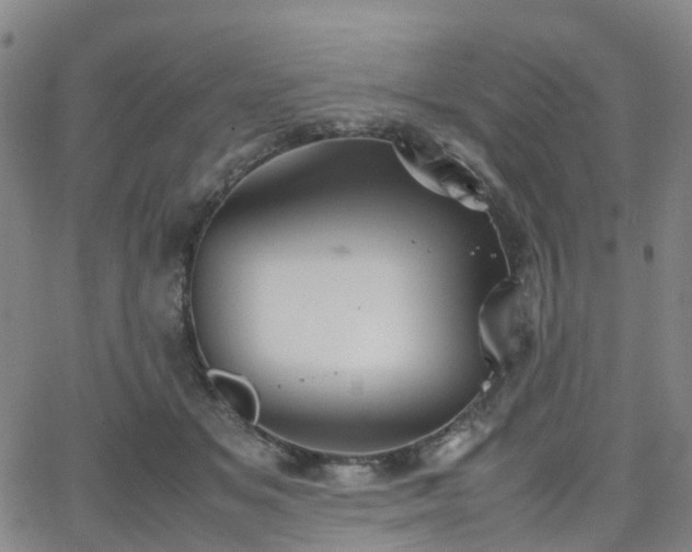 X0000064040509200601301152