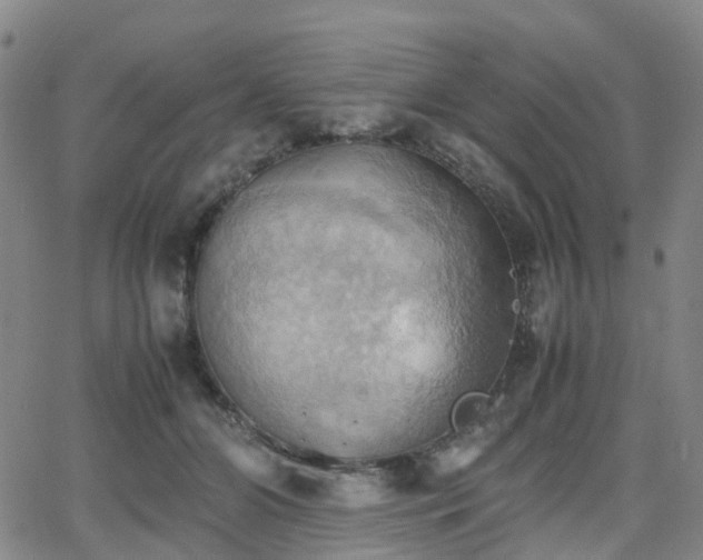 X0000064040510200601301152