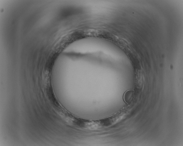 X0000064040511200601301152