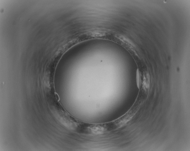 X0000064040512200601301152