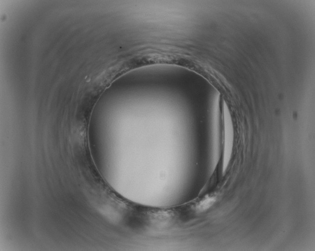 X0000064040513200601301152