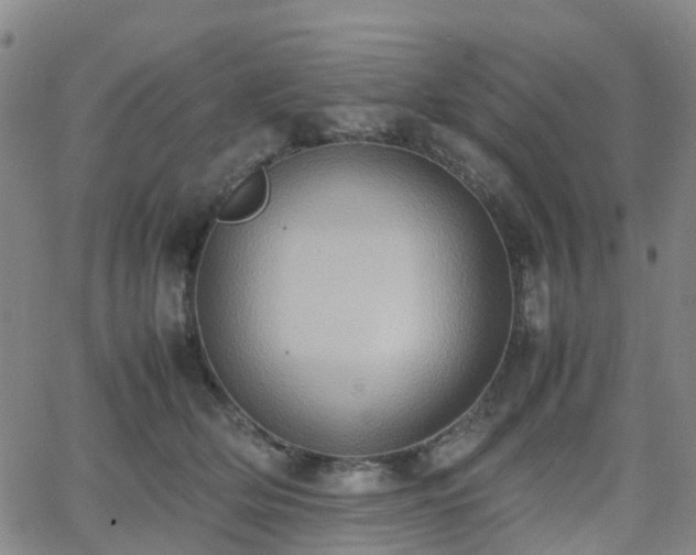 X0000064040514200601301152