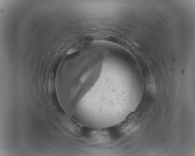 X0000064040515200601301152