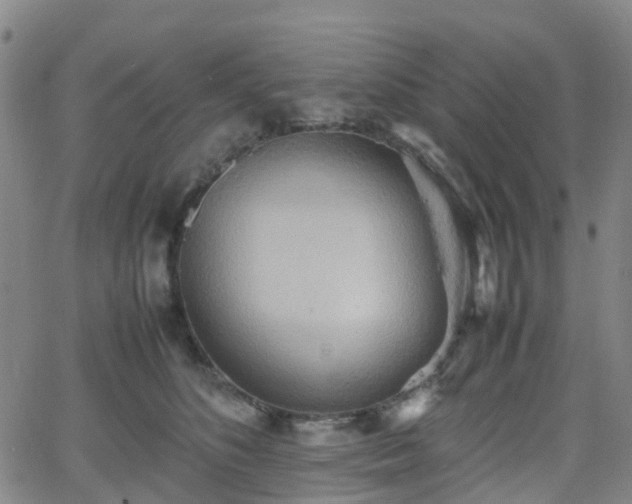 X0000064040516200601301152