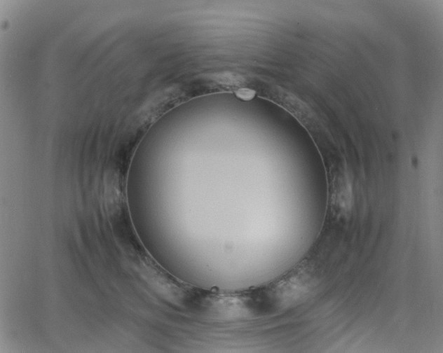 X0000064040518200601301152