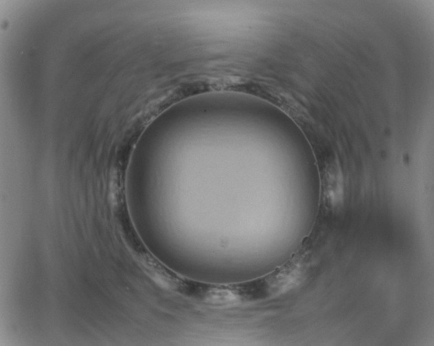 X0000064040519200601301152