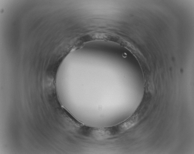 X0000064040521200601301152