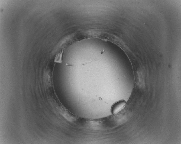 X0000064040522200601301152