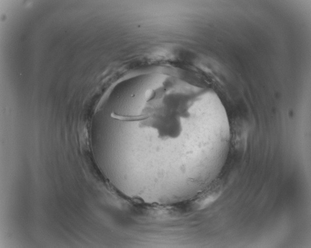 X0000064040523200601301152