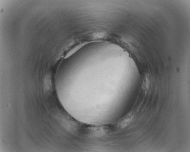 X0000064040524200601301152