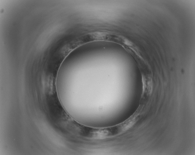 X0000064040525200601301152