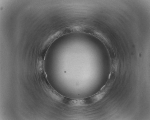 X0000064040526200601301152