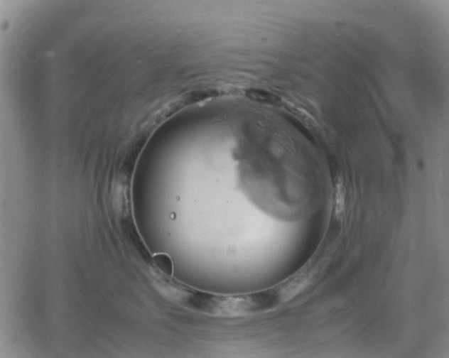 X0000064040527200601301152