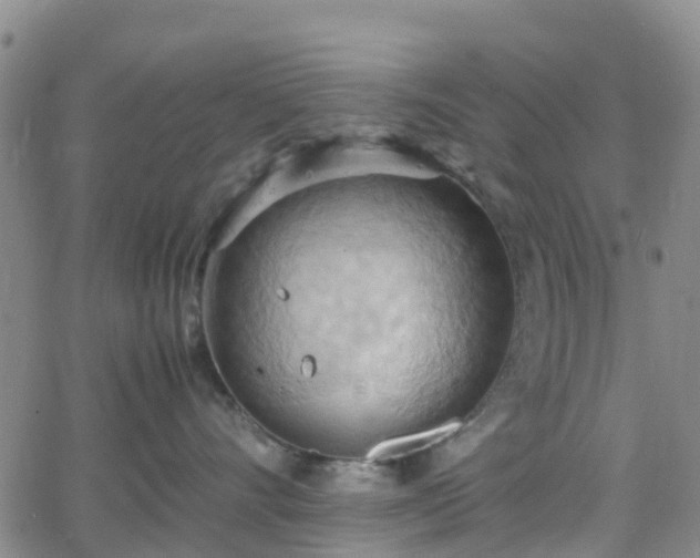 X0000064040528200601301151