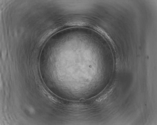 X0000064040529200601301151