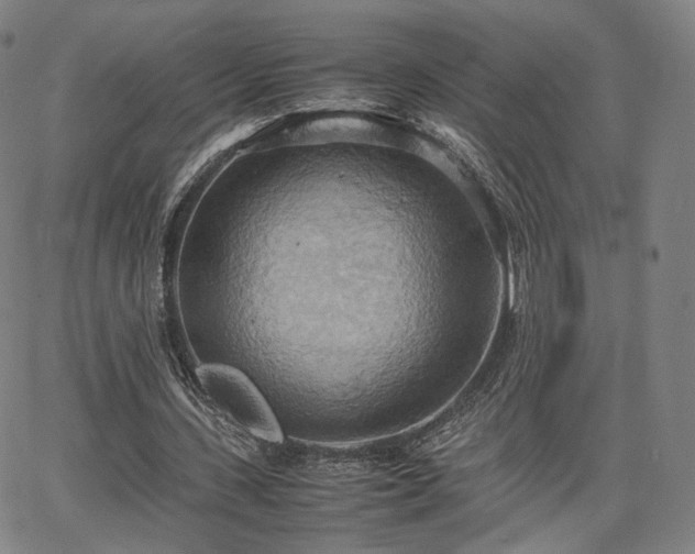 X0000064040531200601301151