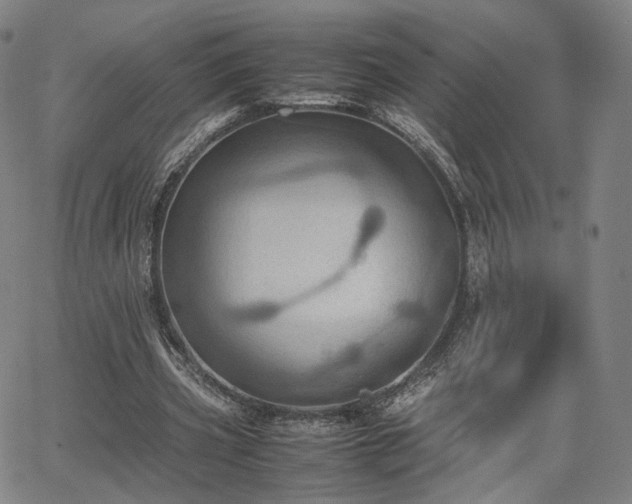 X0000064040533200601301151