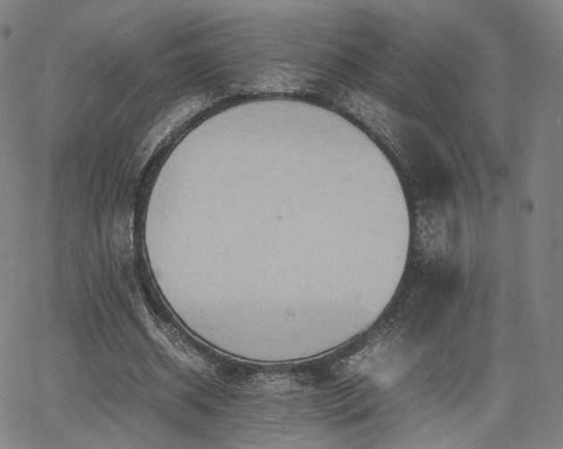 X0000064040534200601301151