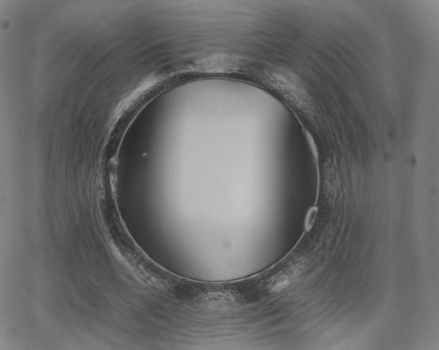 X0000064040536200601301151