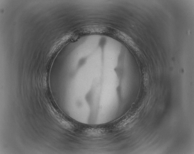 X0000064040537200601301151