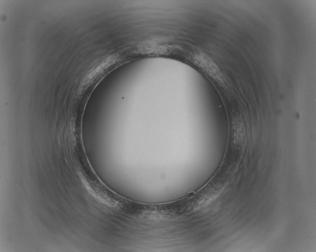 X0000064040538200601301151