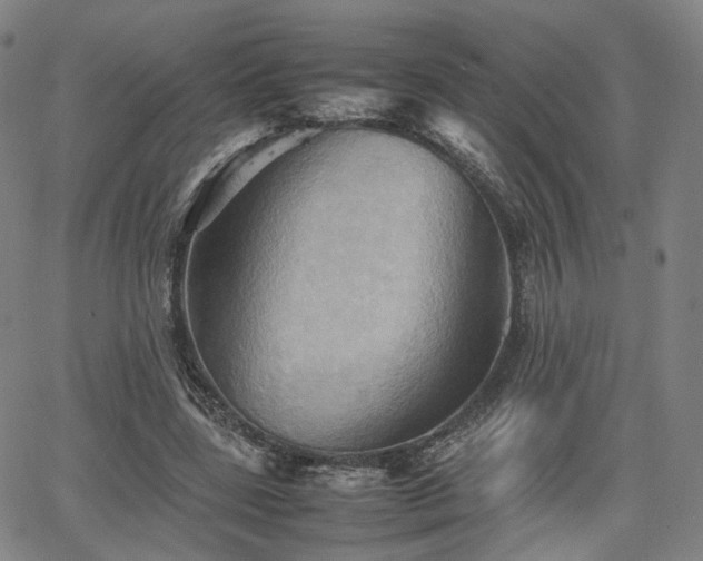 X0000064040539200601301151