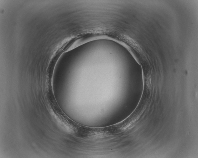 X0000064040540200601301151