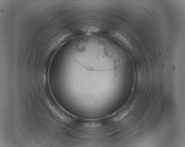 X0000064040541200601301151