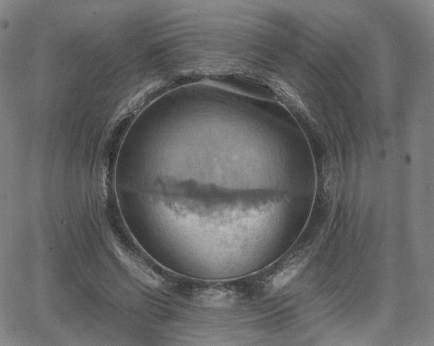 X0000064040542200601301151