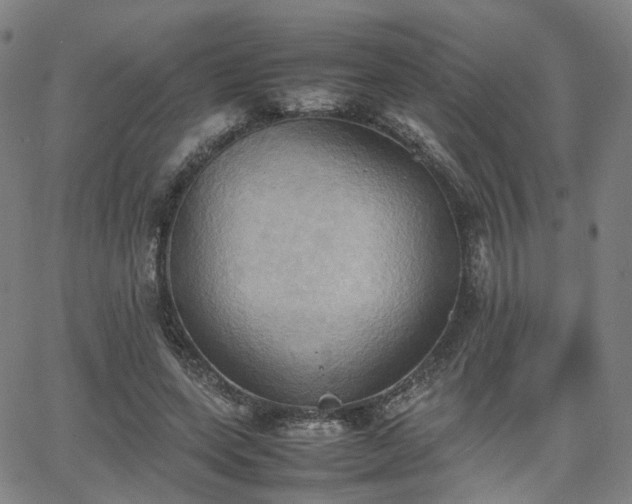 X0000064040543200601301151