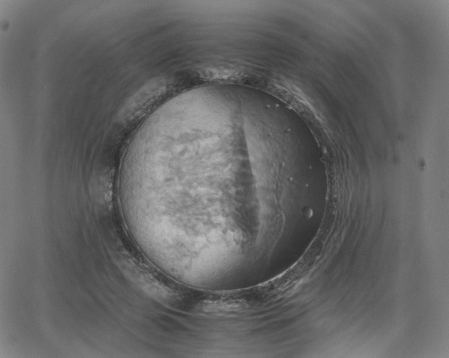 X0000064040545200601301151