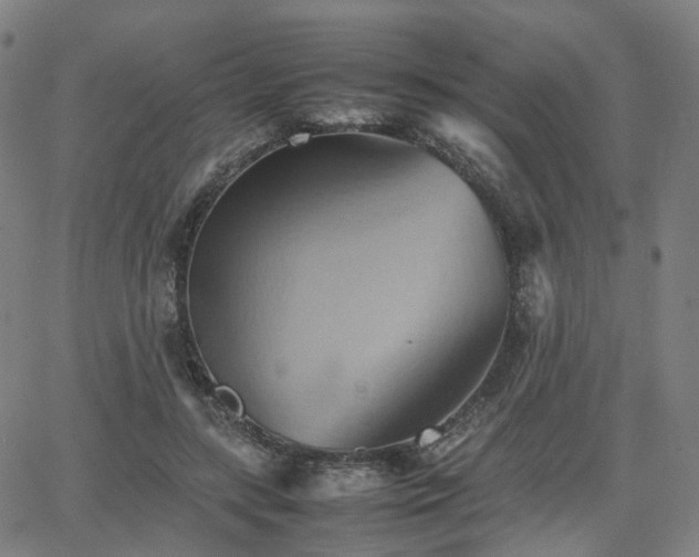 X0000064040547200601301151