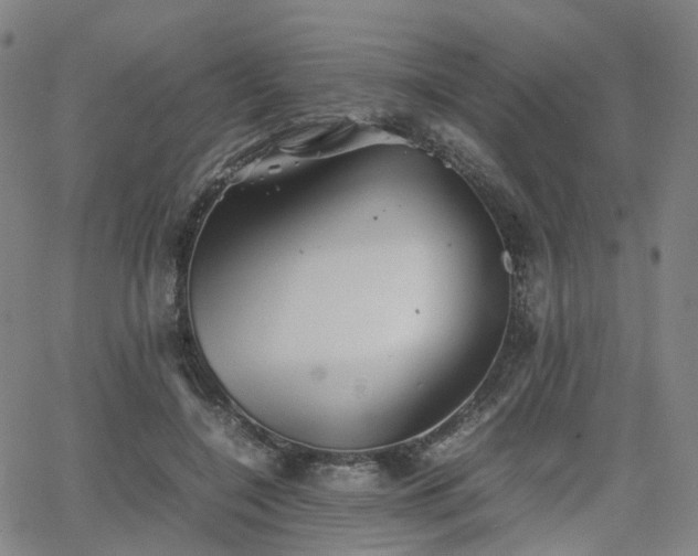 X0000064040548200601301151