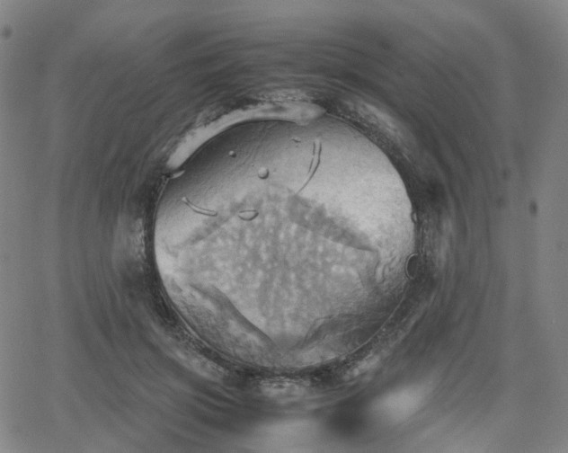 X0000064040549200601301151