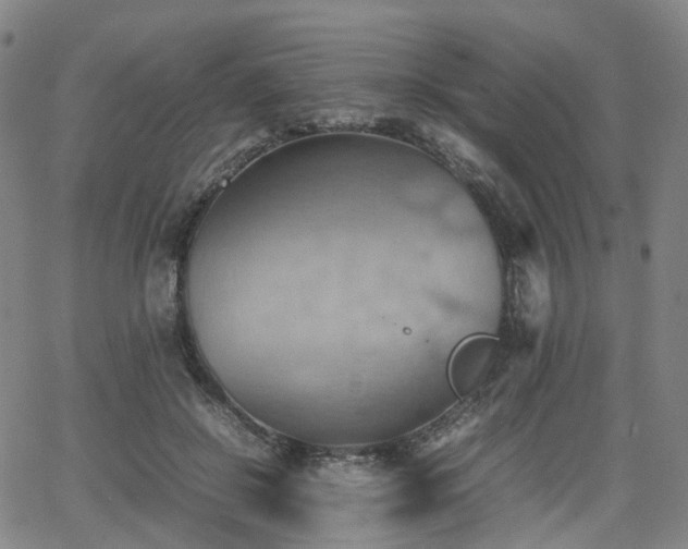 X0000064040550200601301151