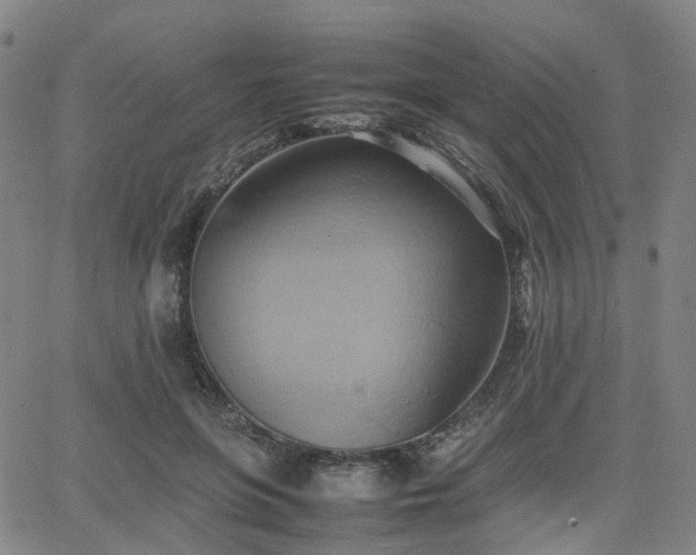 X0000064040551200601301151