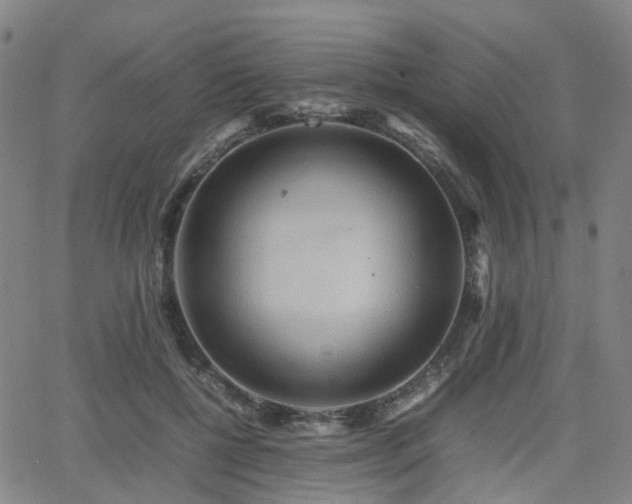 X0000064040552200601301151