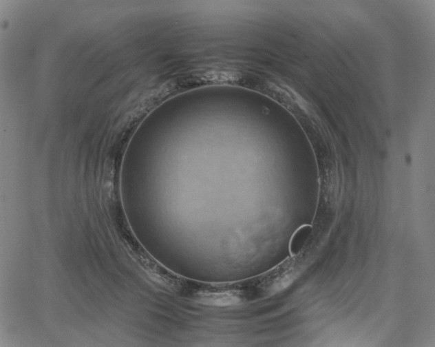 X0000064040553200601301151