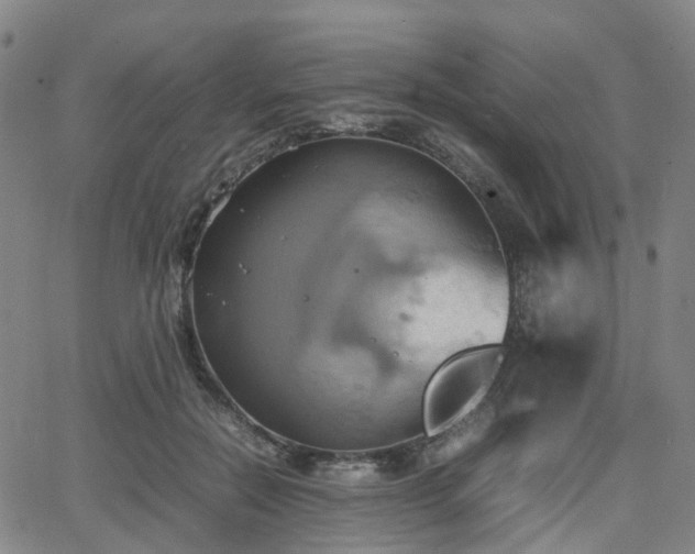 X0000064040554200601301151