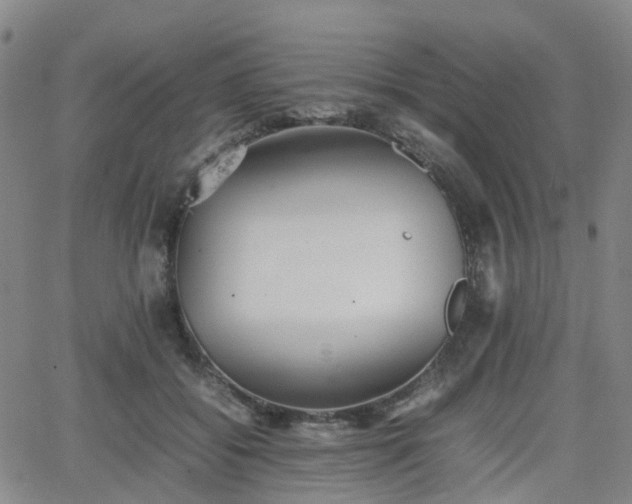 X0000064040556200601301151